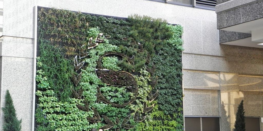 vertical garden in a small urban balcony