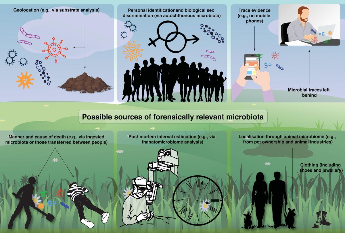 Challenges and Solutions in Predictive Analytics