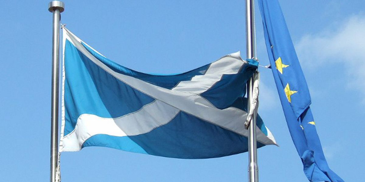 Influencing Law and Policy: The Solicitor's Contribution