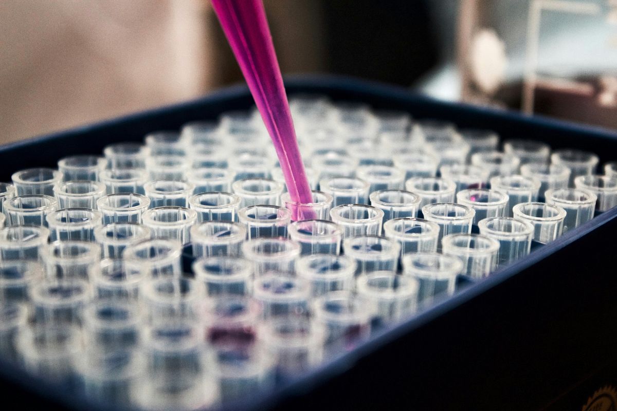 The Secret Sauce: JADAM Liquid Fertilizer (JLF)