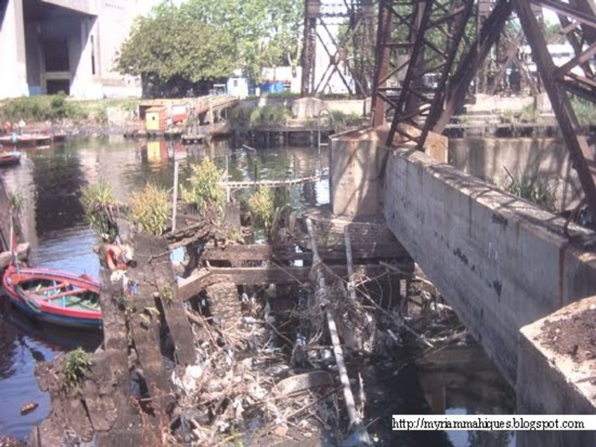 Maintaining Peak Performance and Health of Your Website