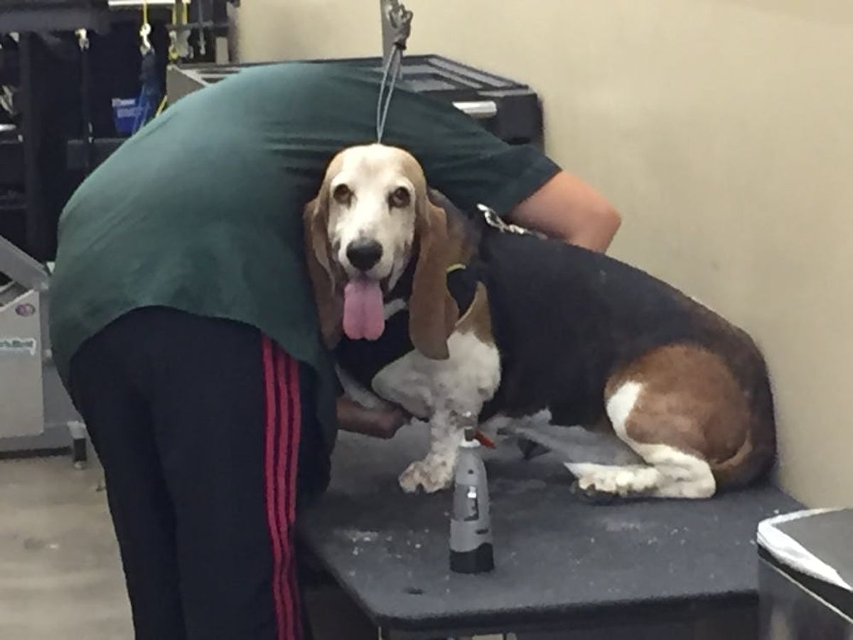 Creating an Allergy-Friendly Environment at Home