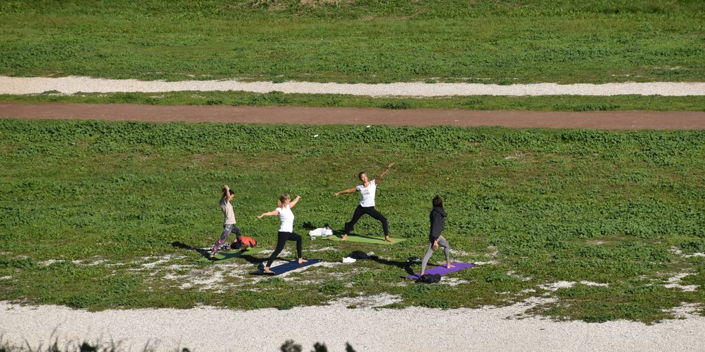people on green grass field during daytime