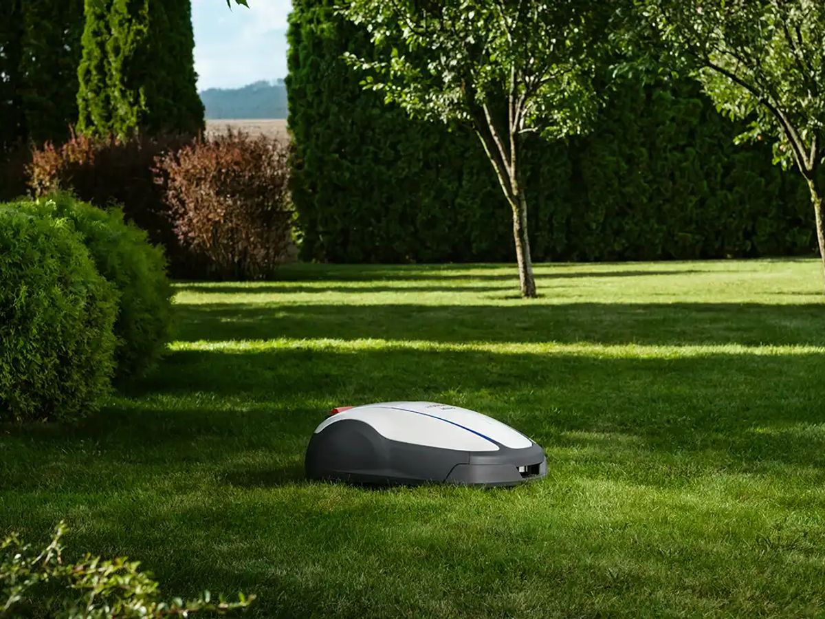 Robotic lawn mower on a lush, green lawn with trees.