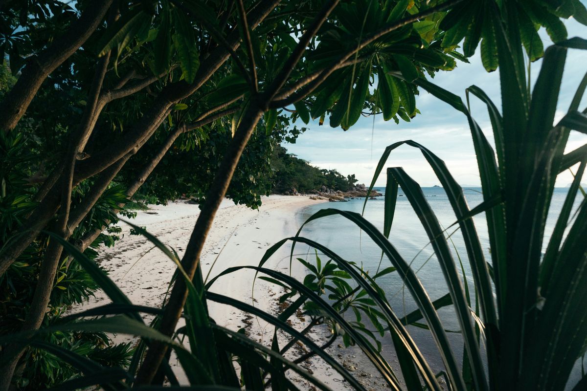 Sustainable Travel: Eco-Friendly Explorations