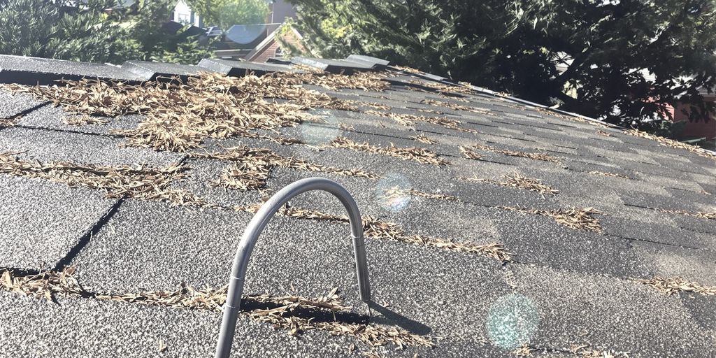 Colorado Springs home roof with sun damage.