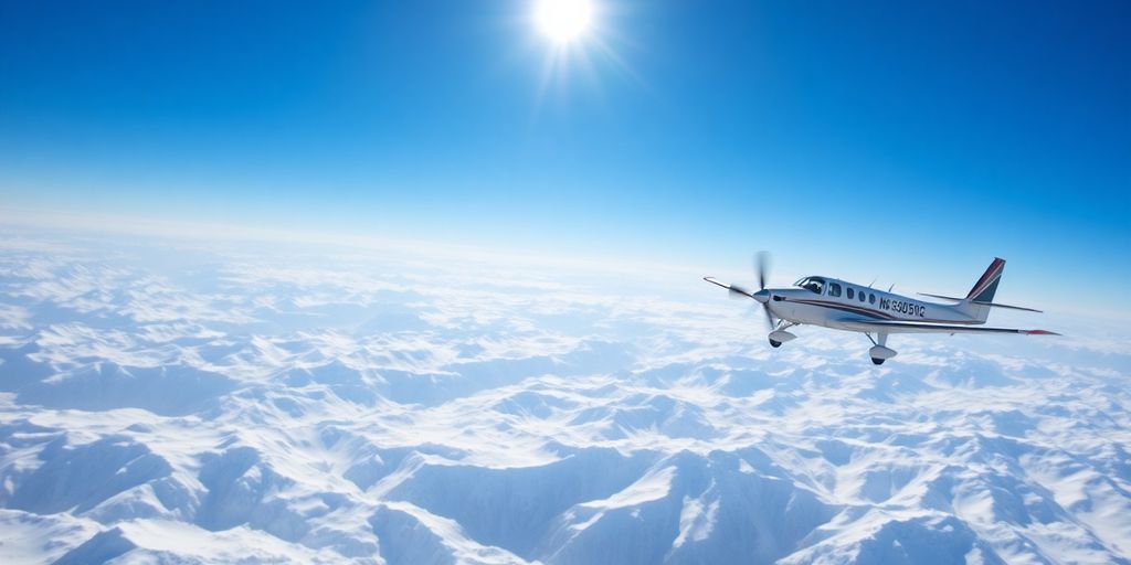 A small plane flies over the snow-covered Denali peak.