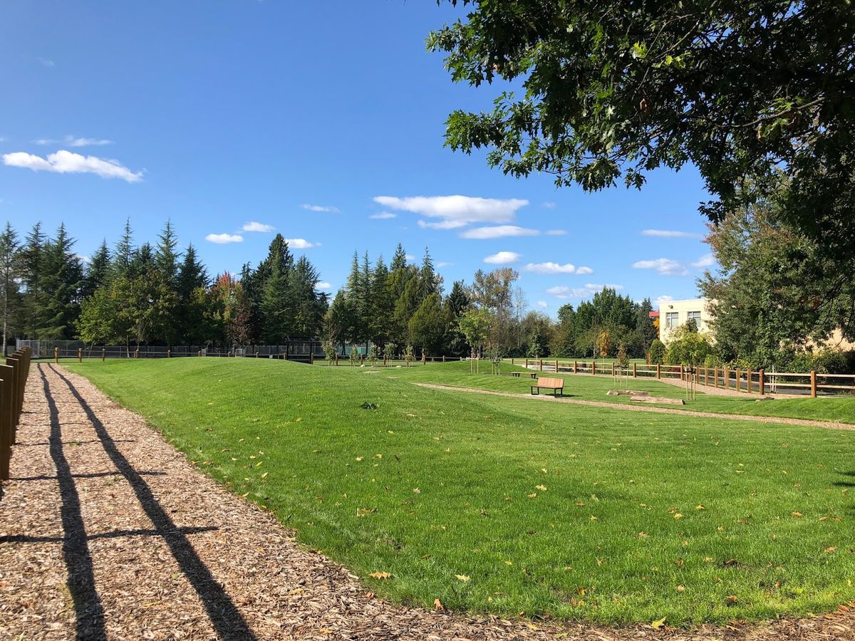 Enjoy Serenity at the Chain of Parks