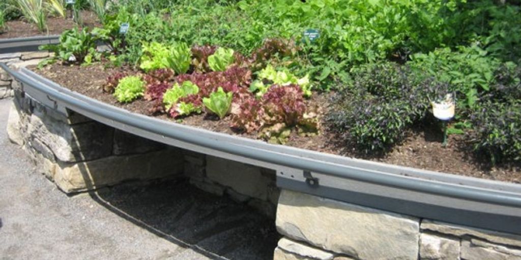 small sensory garden with diverse plants and textures