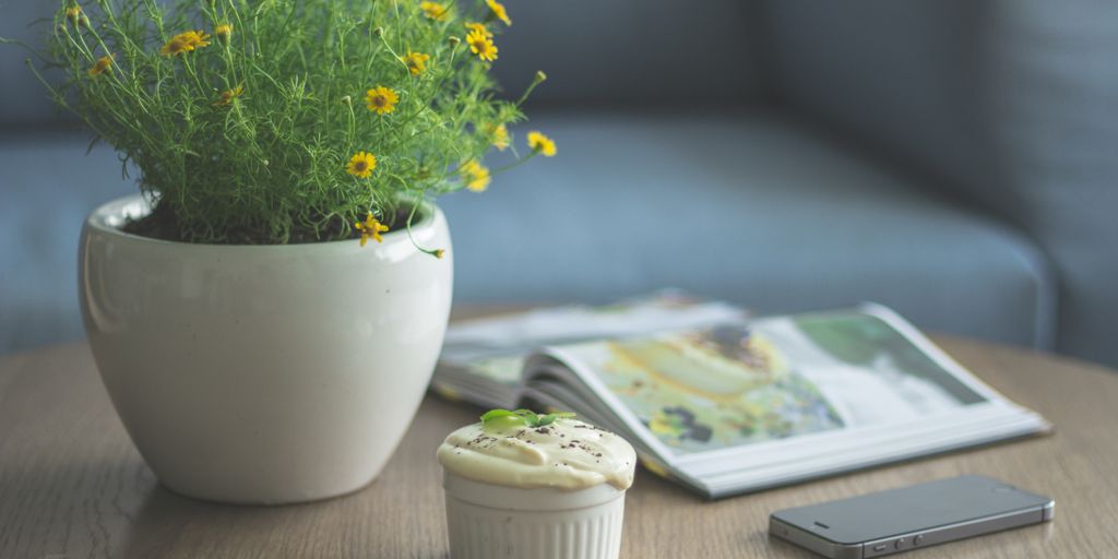 yellow petaled flower plant beside book and iPhone 5s