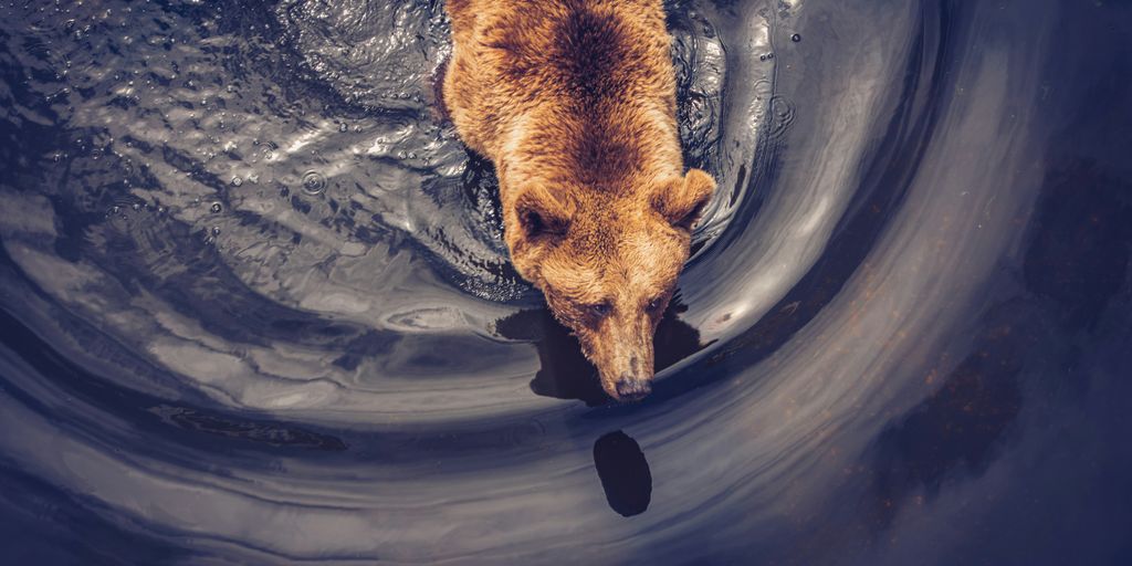 brown short coated dog in water