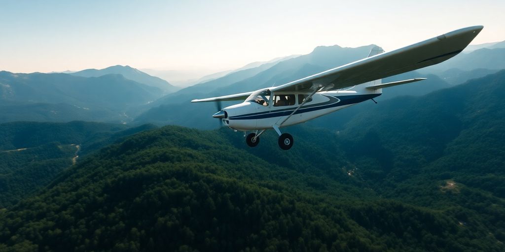 Avion survolant les montagnes françaises.