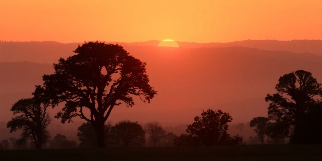 Silhouetted trees against a peaceful sunrise landscape.