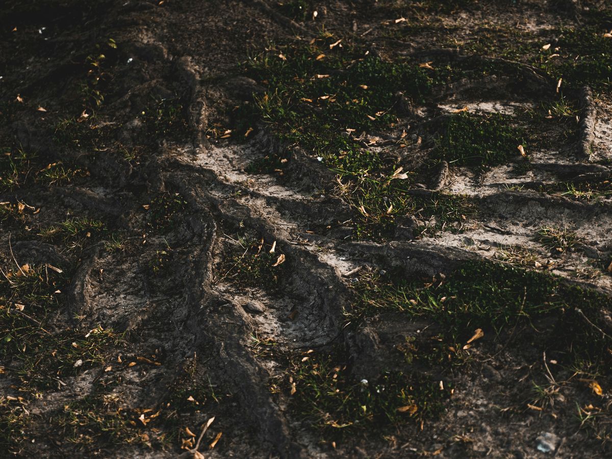 black and gray rock formation