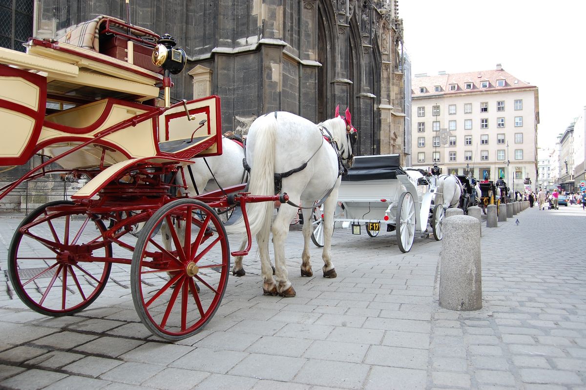 Vienna on Wheels: Unique City Tours