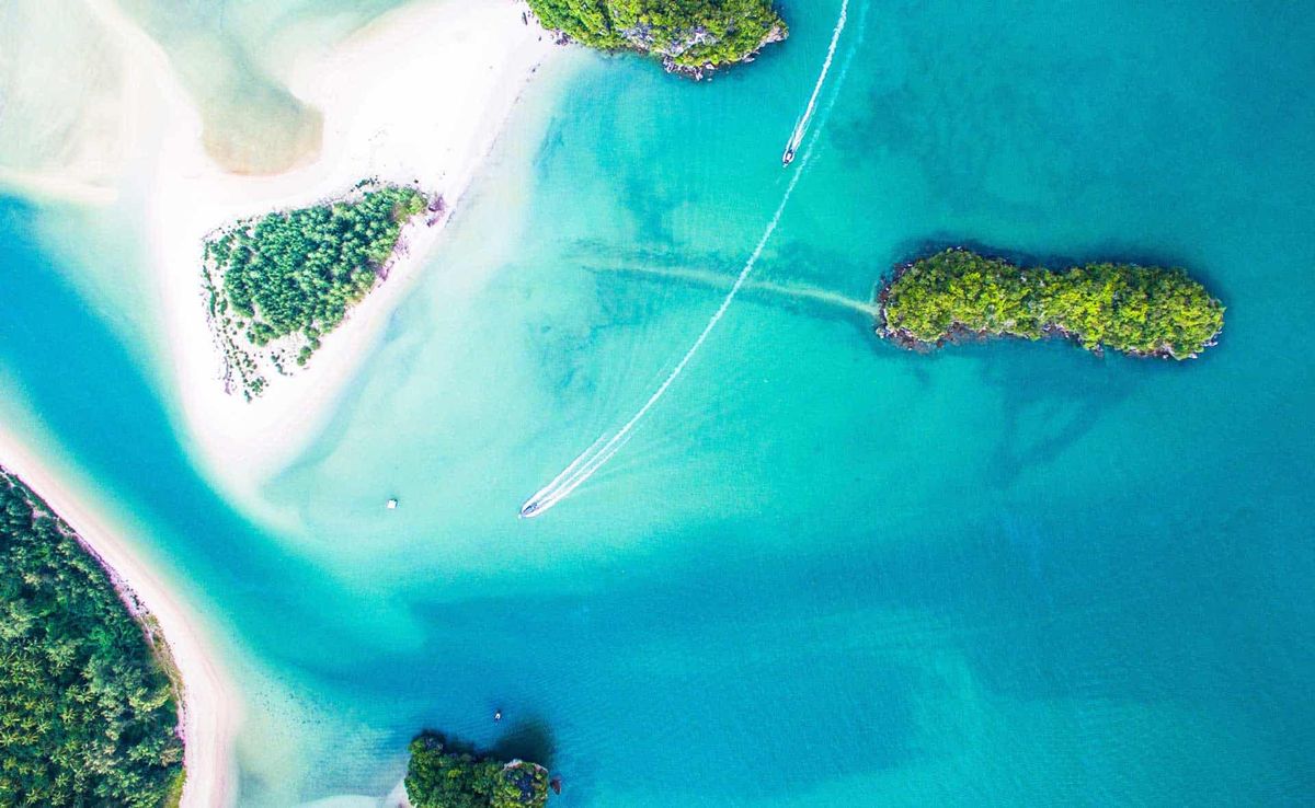 Optimizing Content for Search Engines and Social Media