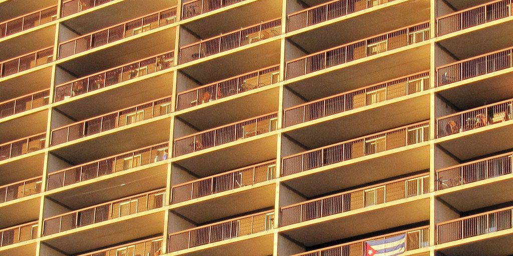happy cat in a cozy cattery environment with visible red flags or warning signs