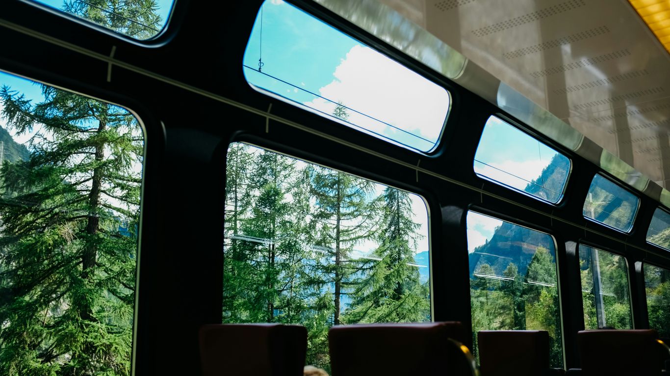 a view of a forest from inside a train