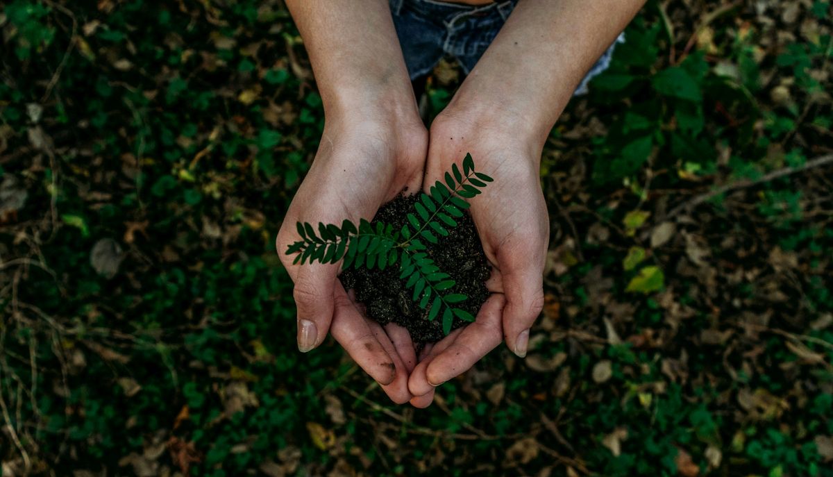 Getting Your Hands Dirty: Preparing Your JADAM Garden