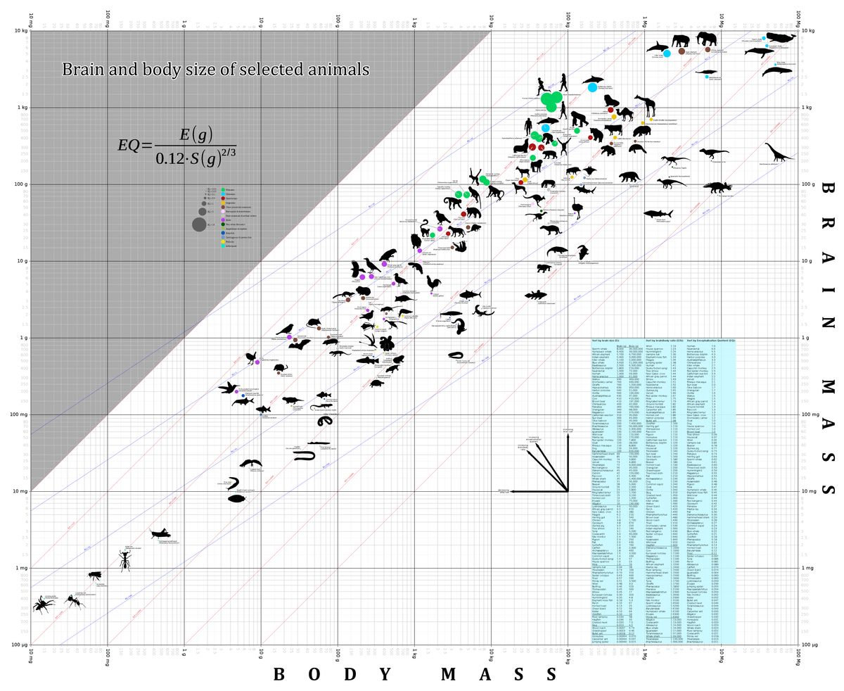 AI-Powered Analytics: Transforming Data into Insights