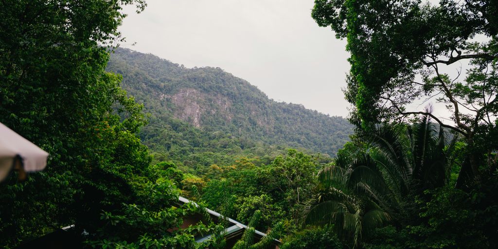 Pool overlooks lush green mountains and trees.