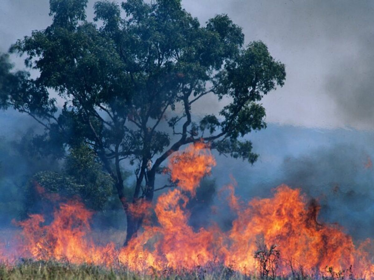 שיקולי היתר נוספים