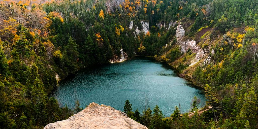 a lake surrounded by trees in the middle of a forest