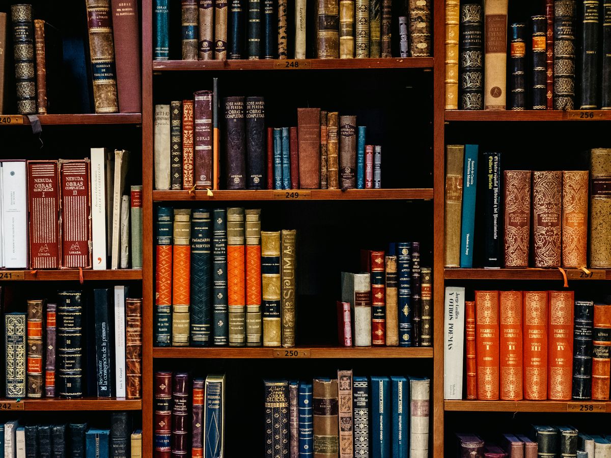 assorted-title of books piled in the shelves