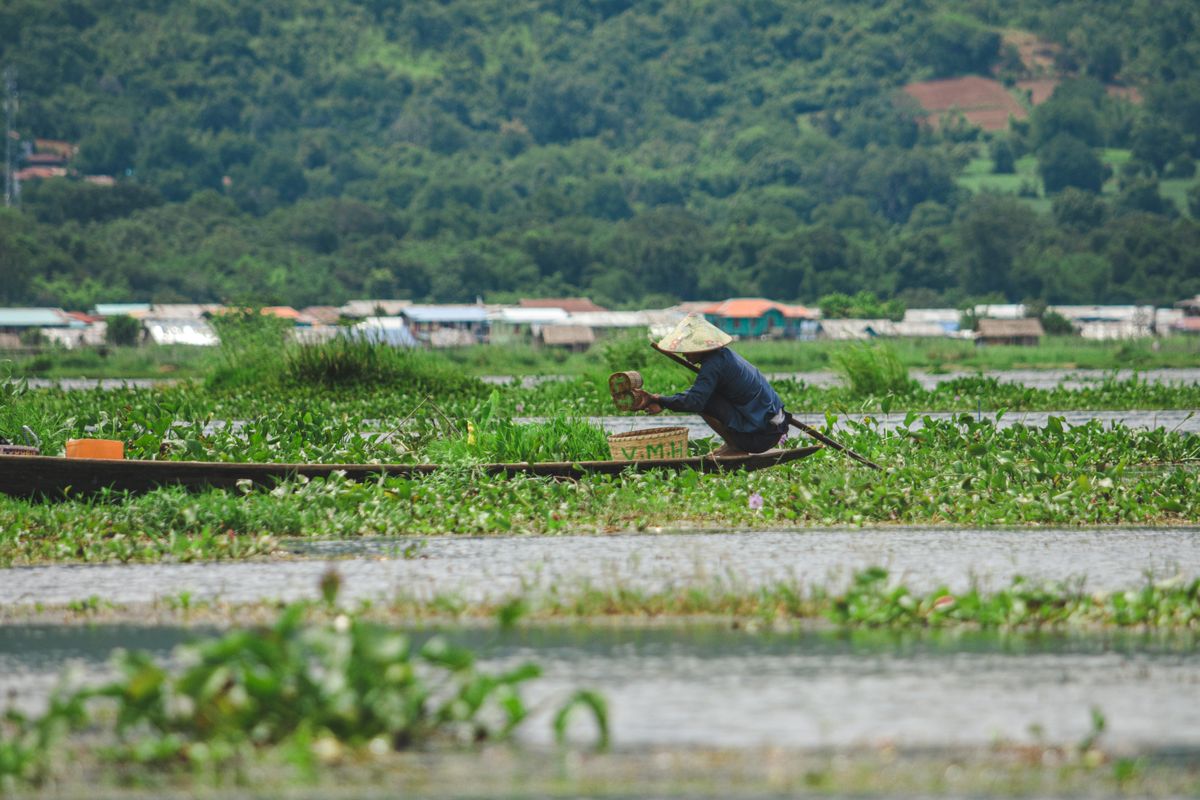 The JADAM Community: A Global Network of Organic Advocates