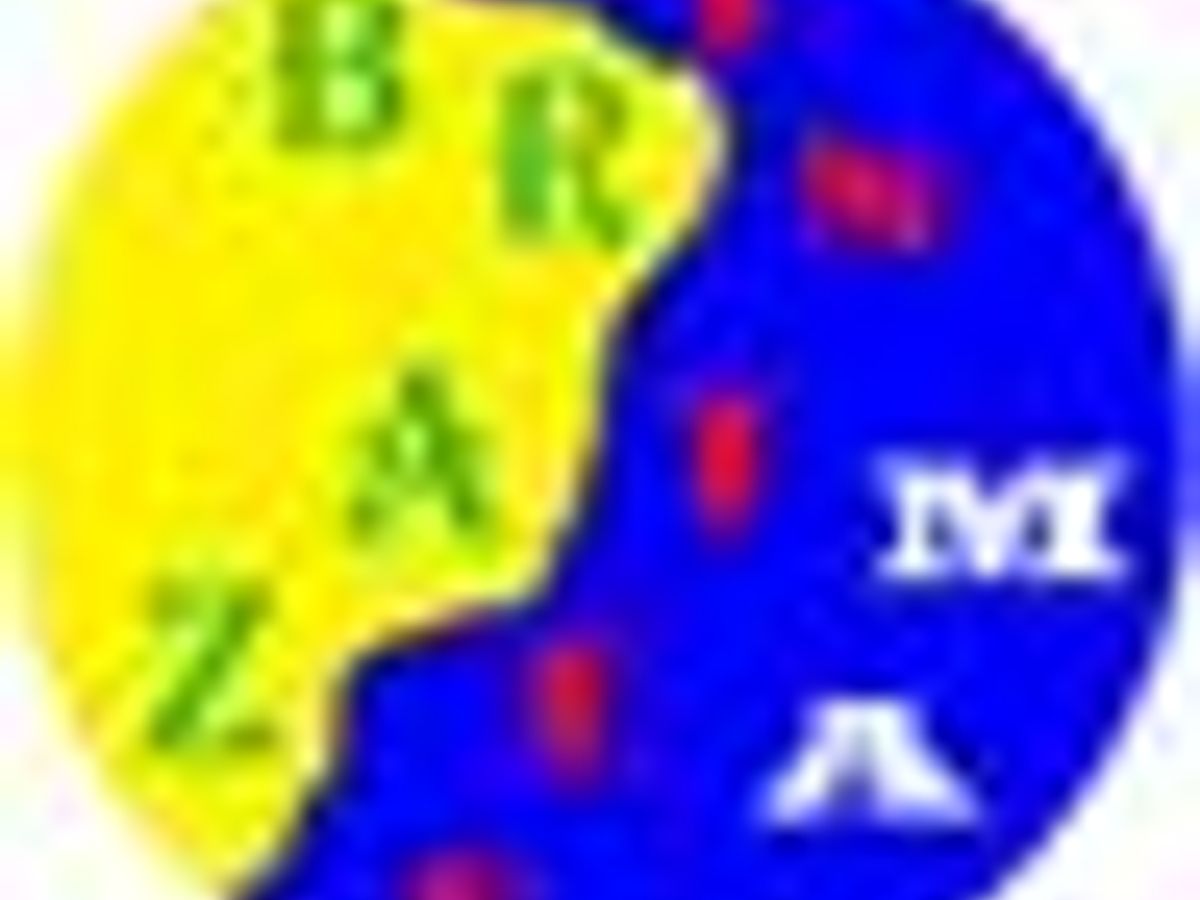 Brazilian film awards