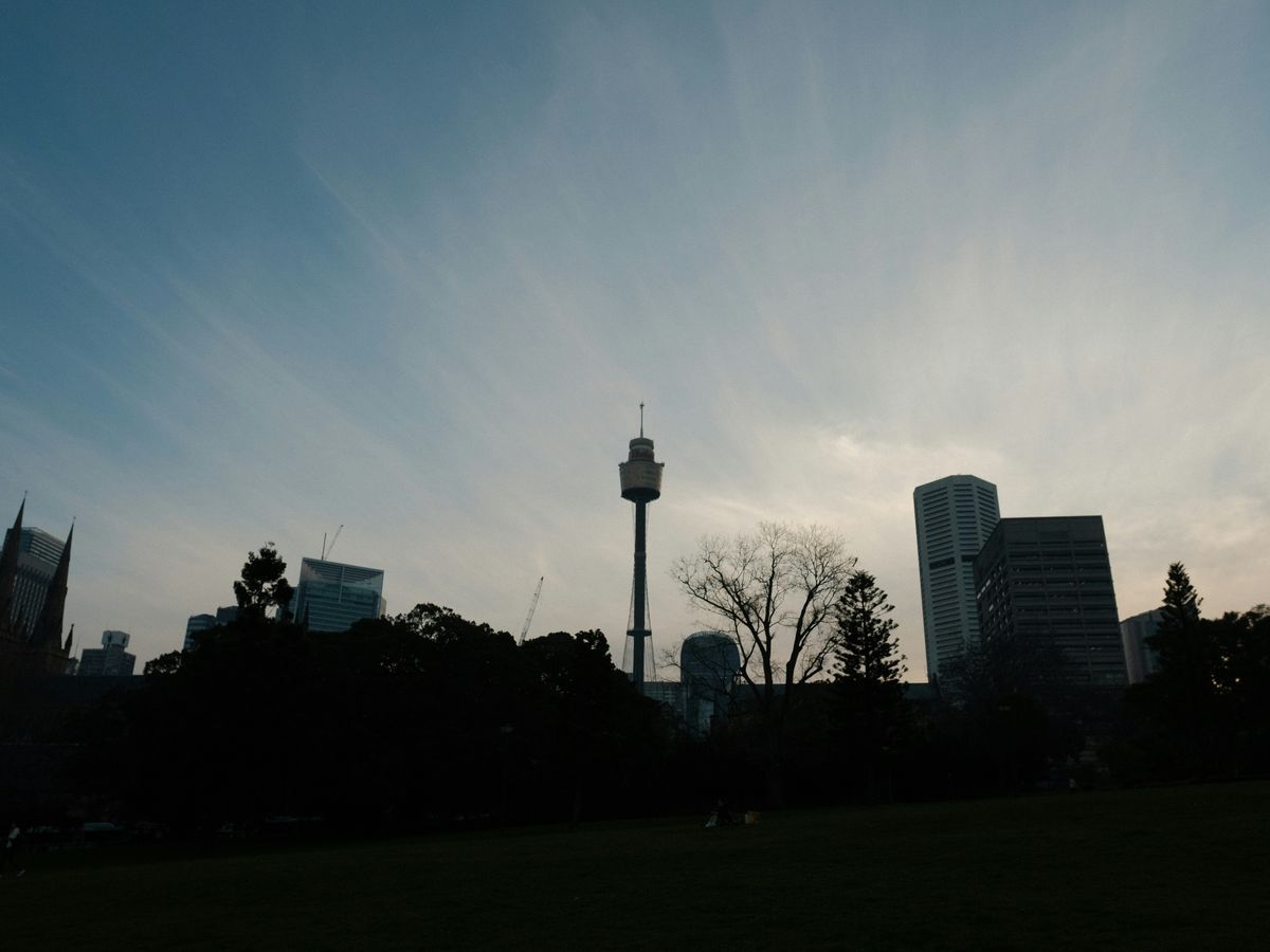 A view of a city skyline from a park