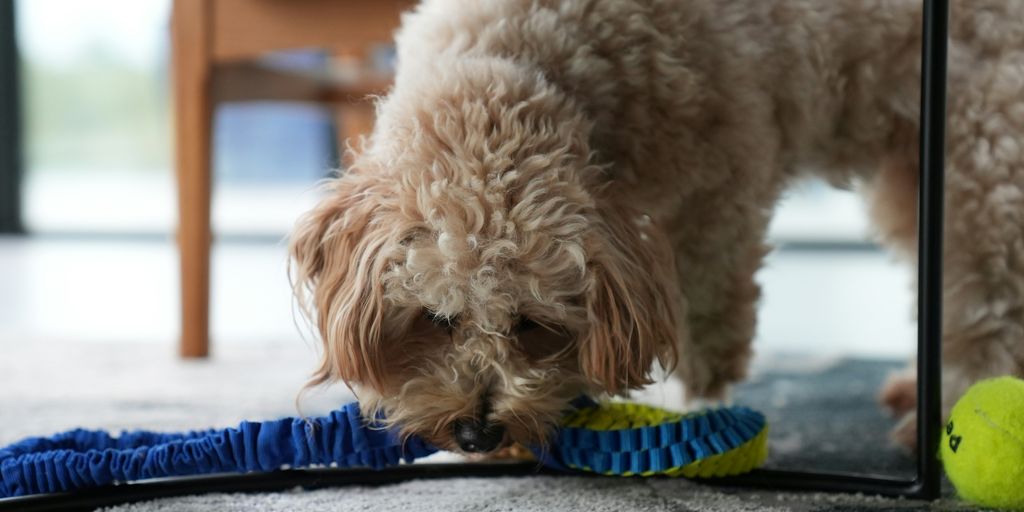 a dog eating from a bowl