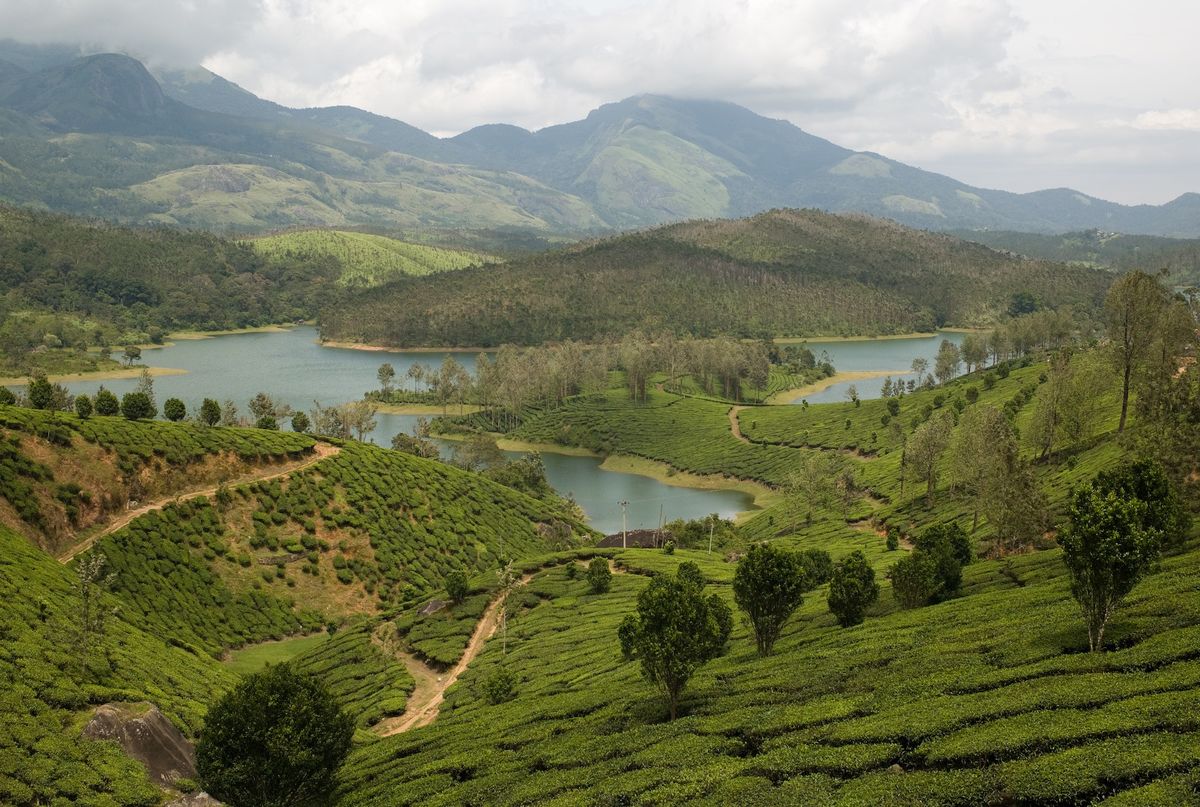 8. Jharkhand