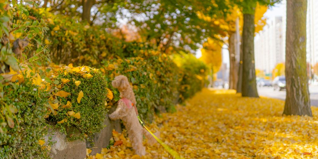 a teddy bear sitting on top of a pile of leaves