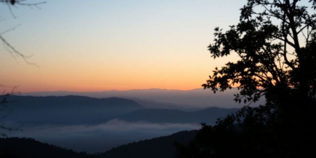 Silhouette trees against a tranquil dawn landscape.