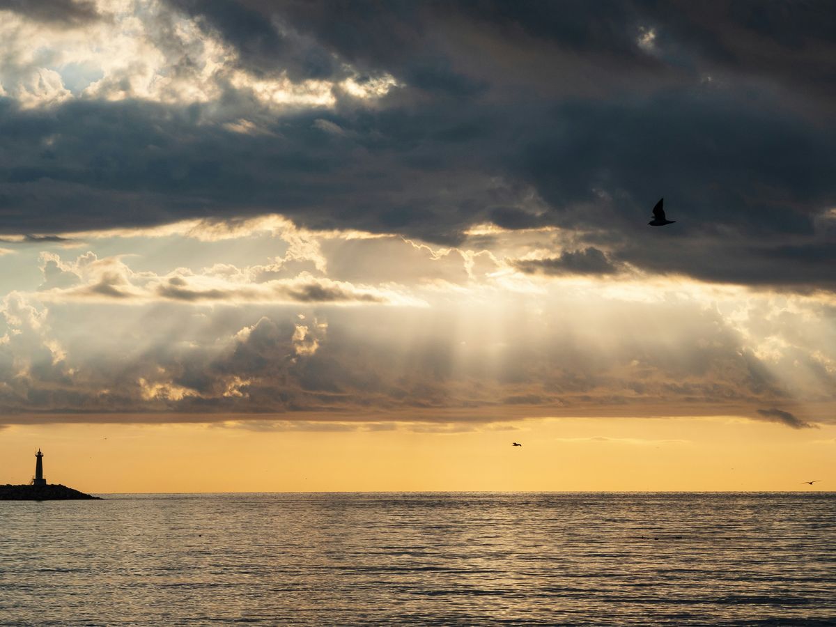 a bird flying over a body of water under a cloudy sky