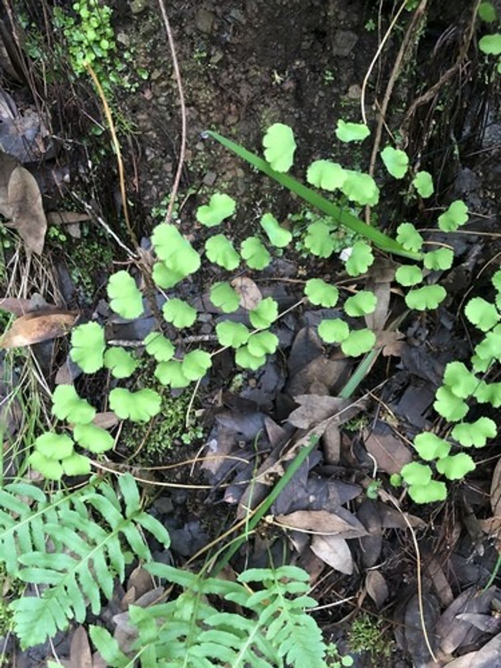 5. Energy-Efficient Upgrades