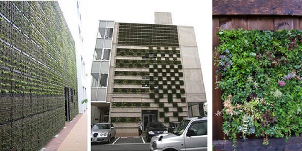 vertical gardening on a budget in small urban spaces