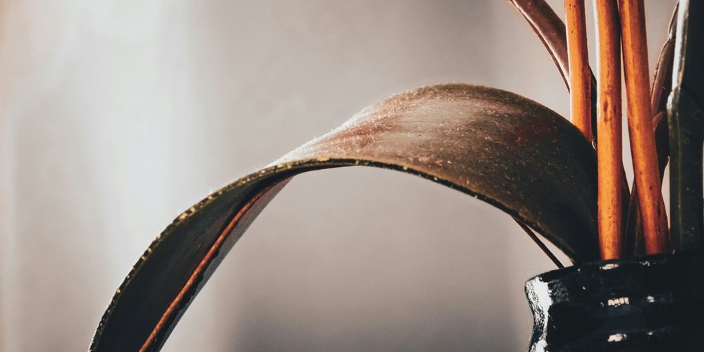 a close-up of a drop of water