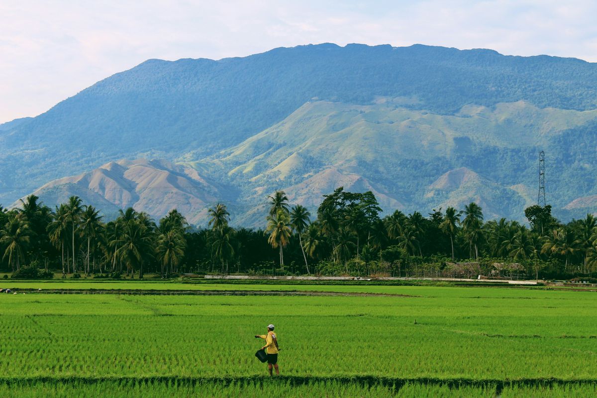 Organic Farming Economics: The JADAM Way