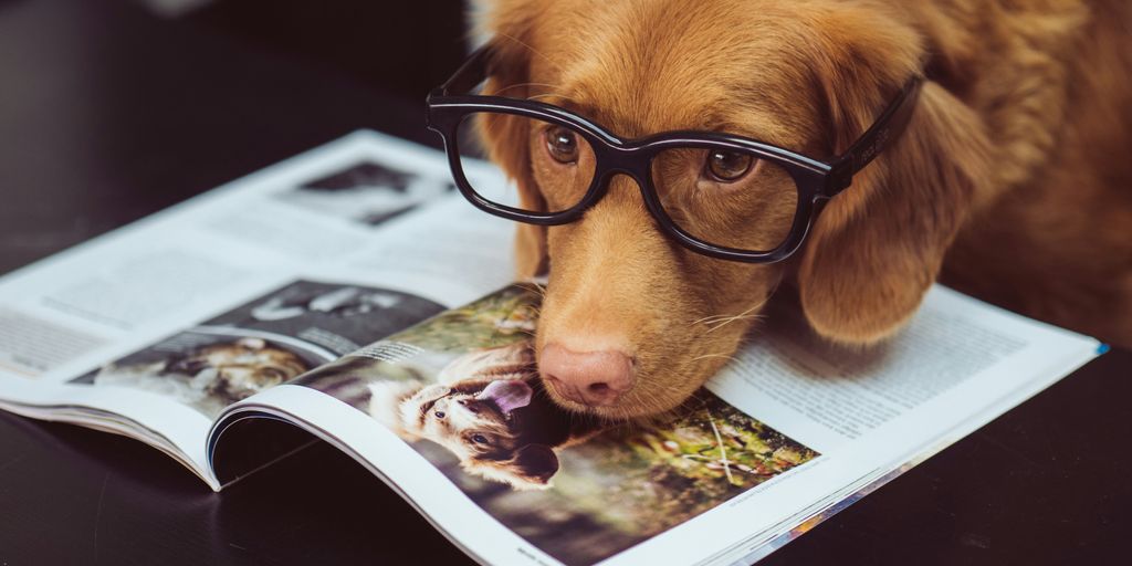 black framed eyeglasses