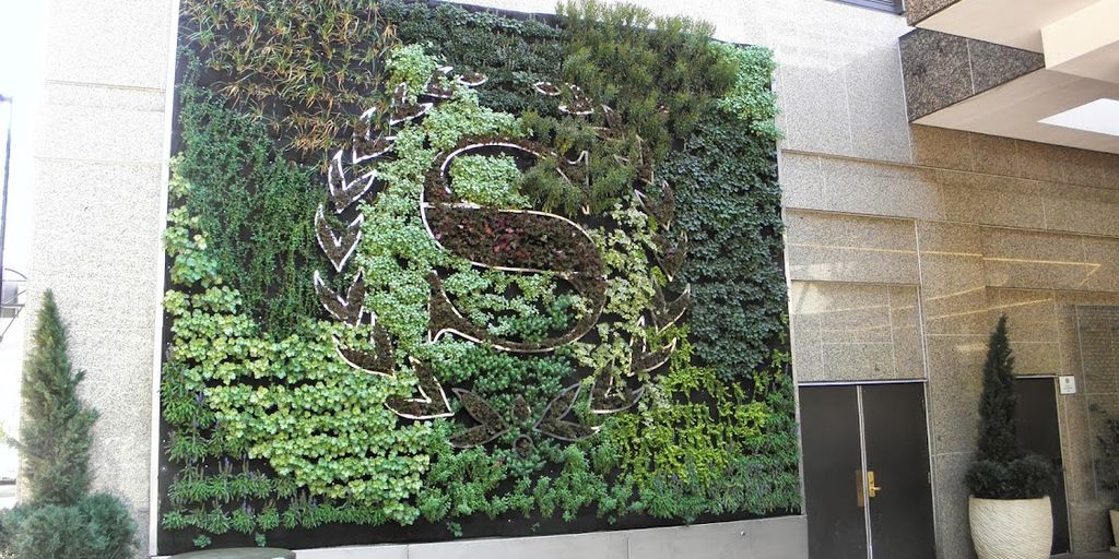 vertical garden with sunlight