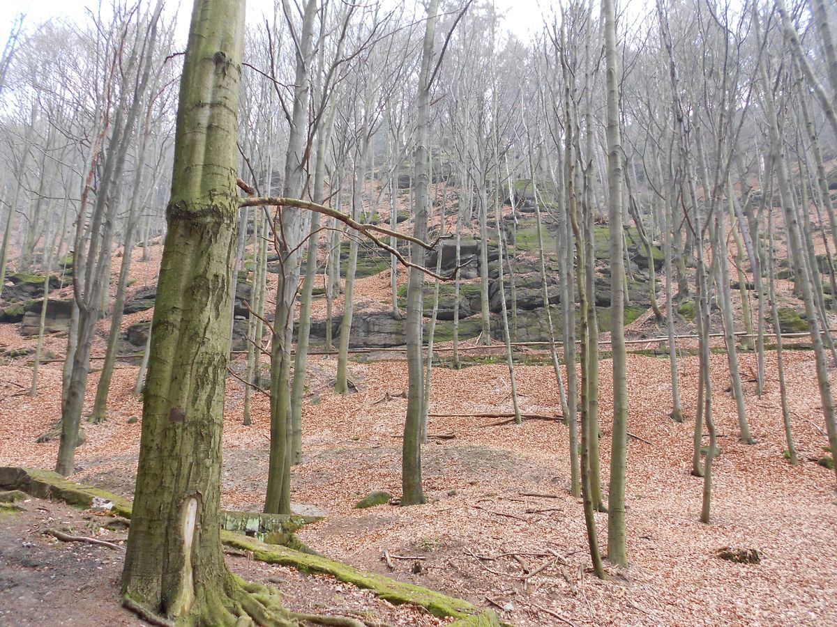 Continuous Monitoring and Maintenance