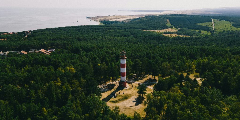 A lighthouse stands in a lush, green forest.