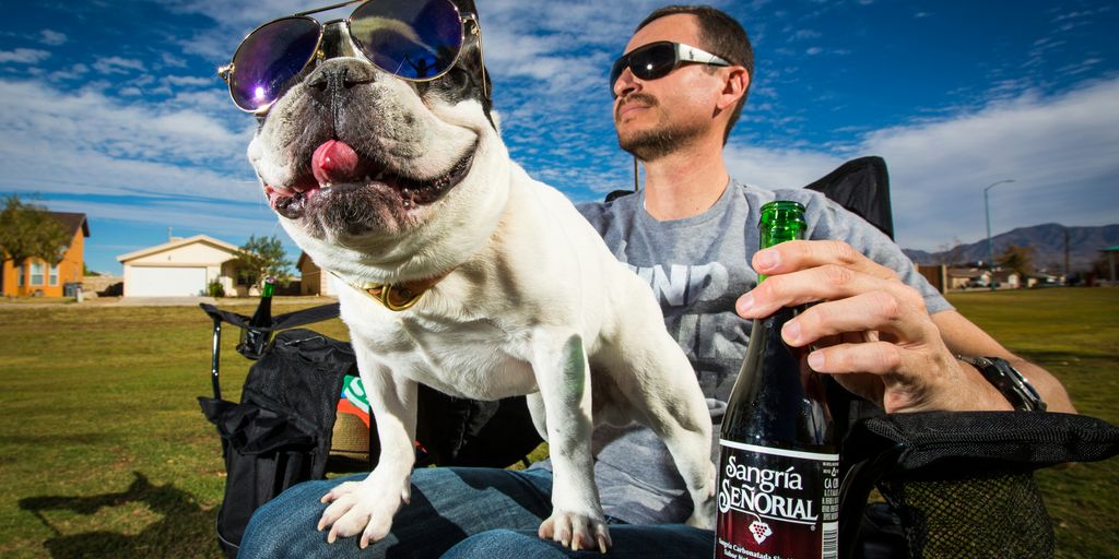 man in white shirt holding black bottle with white short coated dog