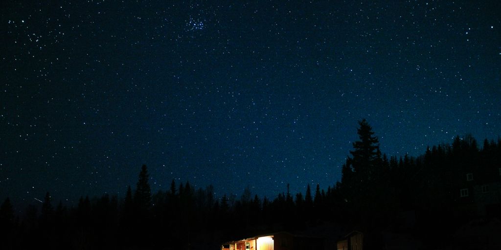 photo of house on forest