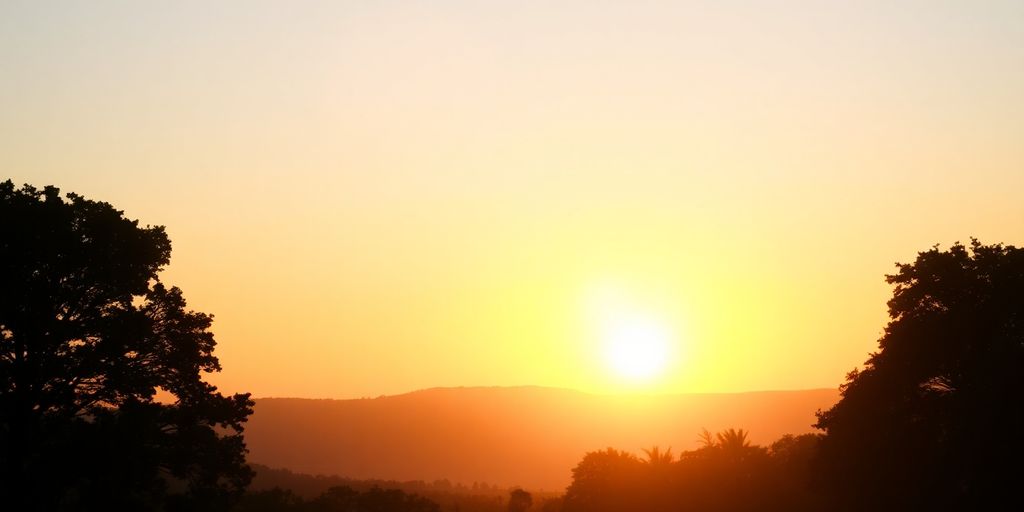 Silhouetted trees at sunrise, symbolizing spiritual growth.