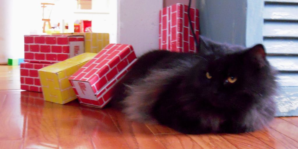 cat in a cozy veterinary clinic with medical equipment and comfortable bedding