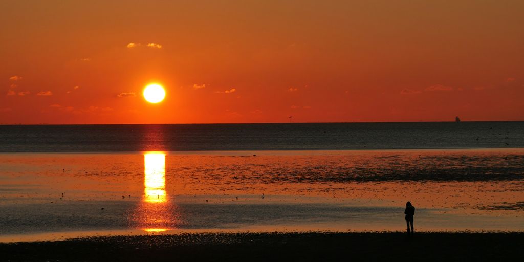 silhouette of 2 people standing on beach during sunset