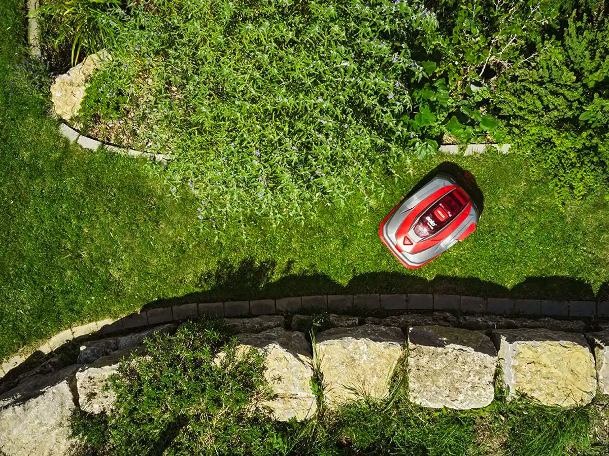 A robot mower navigates a garden with green grass and stones.